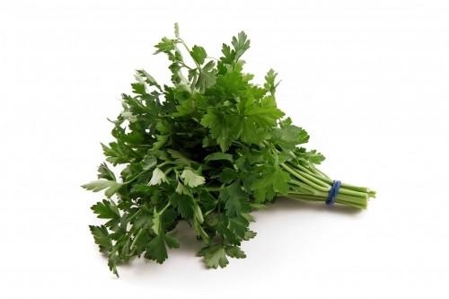 TEMPERO VERDE UN