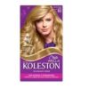 TINTA KOLESTON LOURO CZ81