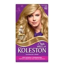 TINTA KOLESTON LOURO CZ81